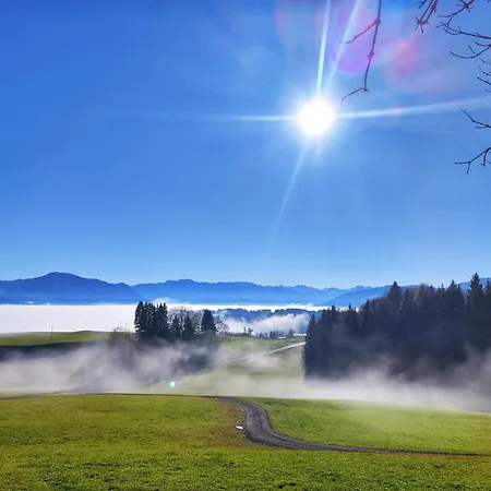Alpseegrünten - *