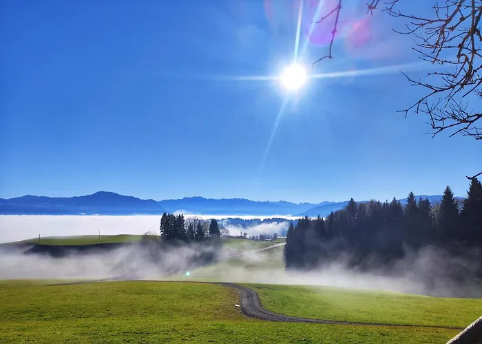 Alpseegruenten - *